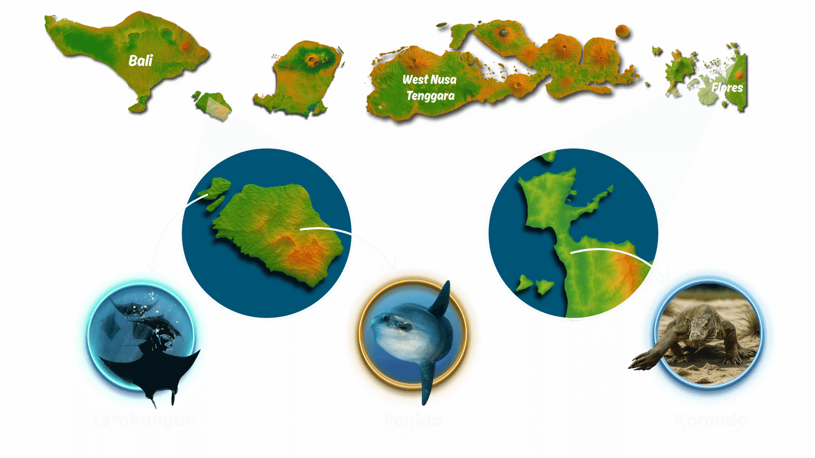 Indonesia Map